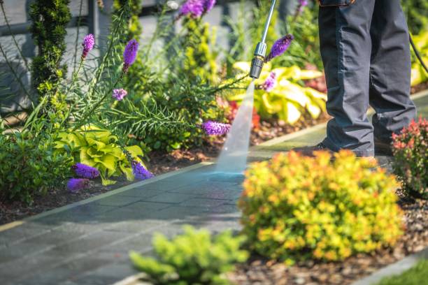 Best Spring Cleaning  in Avery Creek, NC